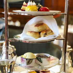 instagram pictures from Chubby Fellow